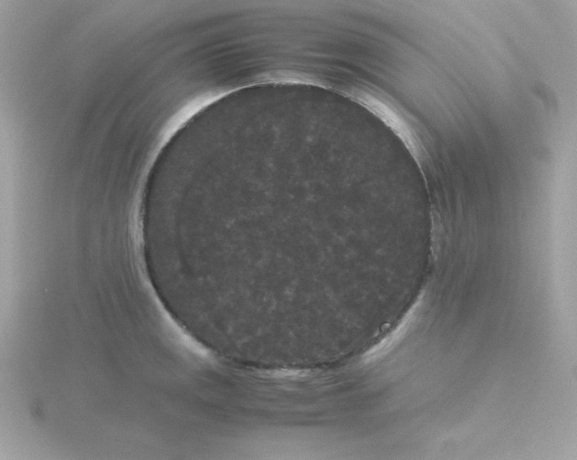 X0000115721141200911251911