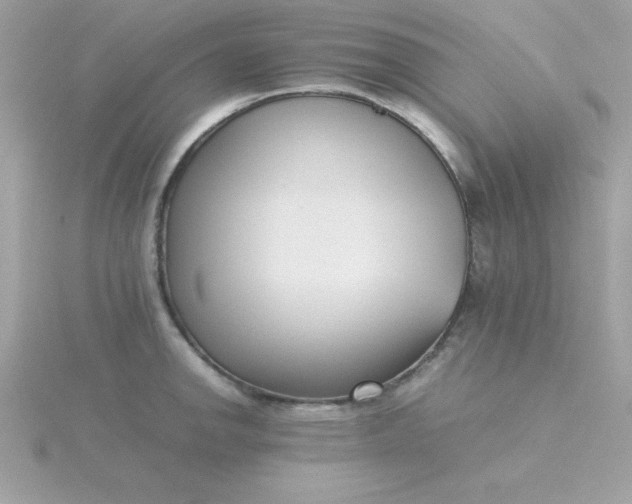 X0000115721142200911251911