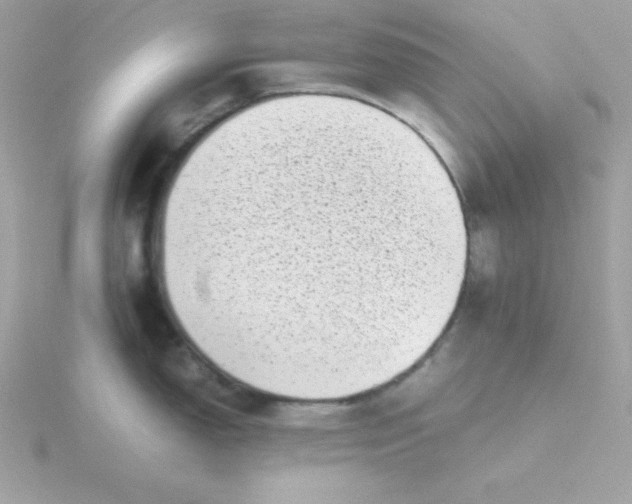 X0000115721150200911251911