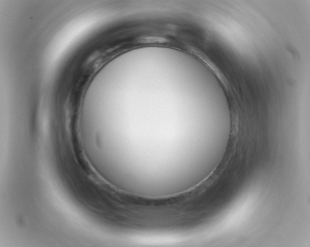 X0000115721151200911251911