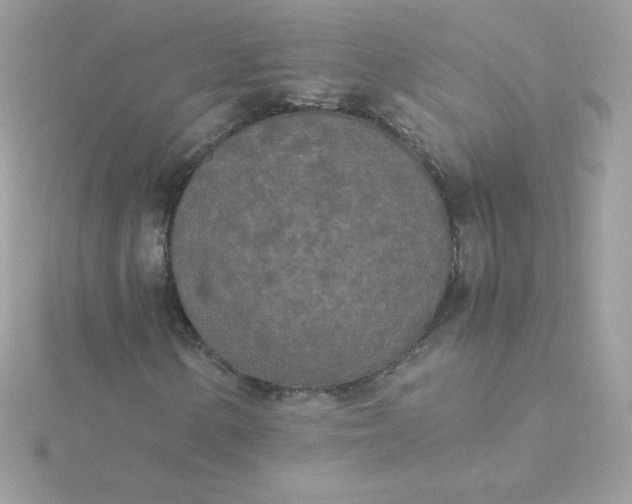 X0000115721154200911251911