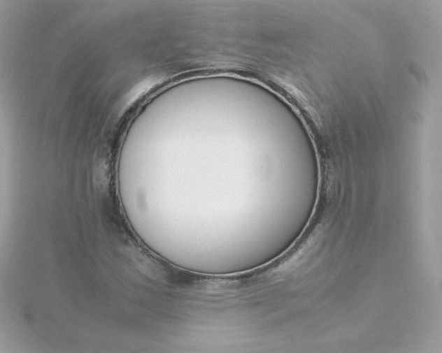 X0000115721163200911251911