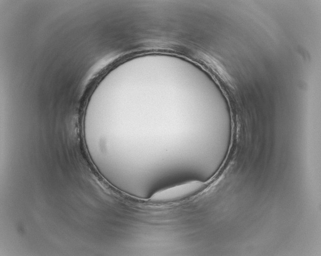 X0000115721164200911251911