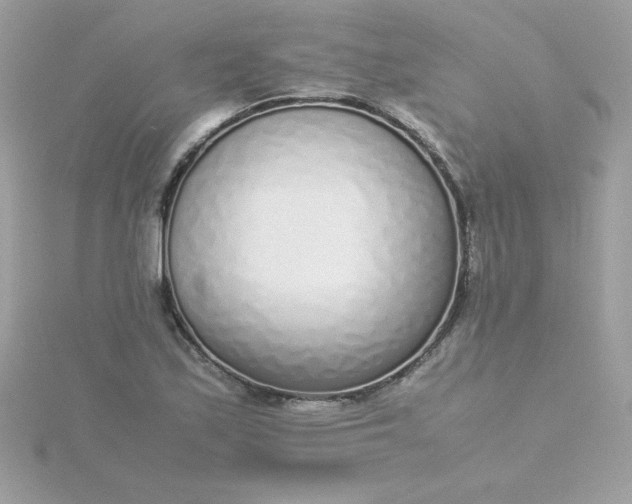 X0000115721171200911251911