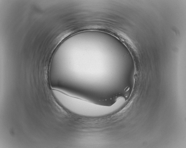 X0000115721177200911251910