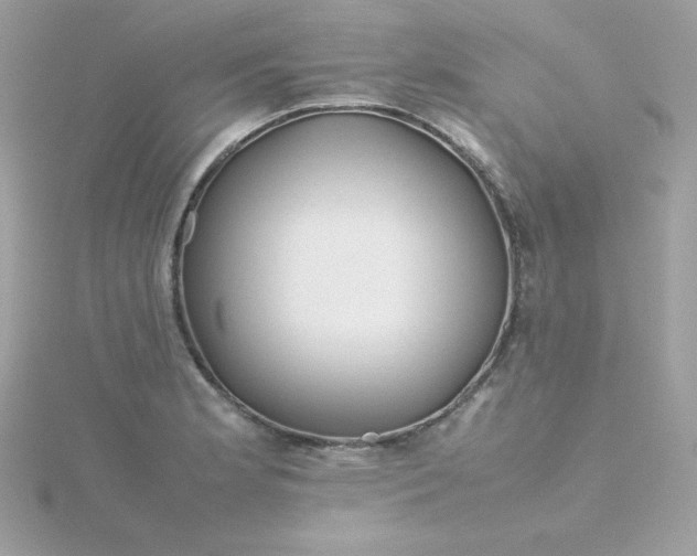 X0000115721181200911251910