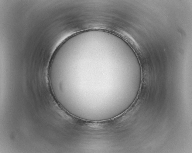 X0000115721182200911251910