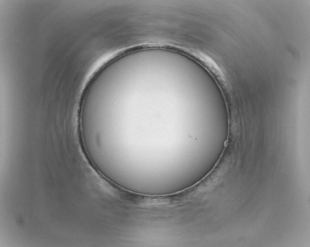 X0000115721183200911251910