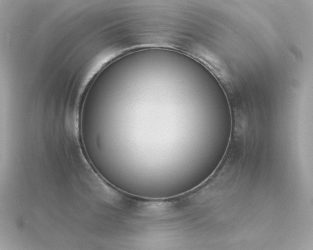 X0000115721188200911251910