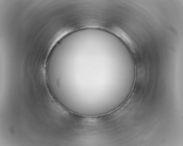 X0000115721190200911251910