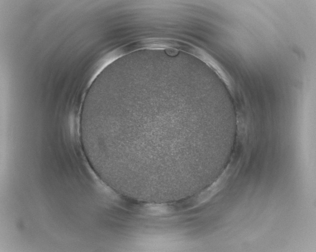 X0000115721194200911251910
