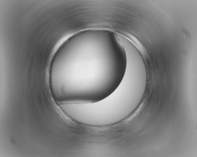 X0000115721196200911251910