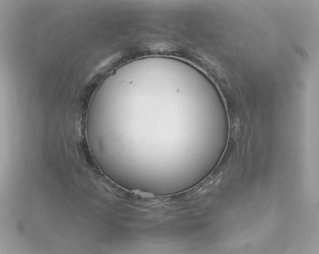 X0000115721205200911251910