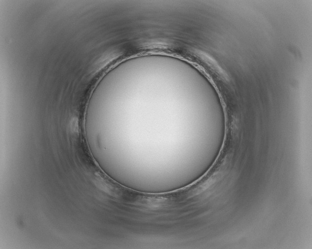 X0000115721209200911251910