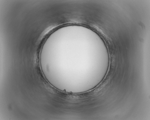 X0000115721215200911251910