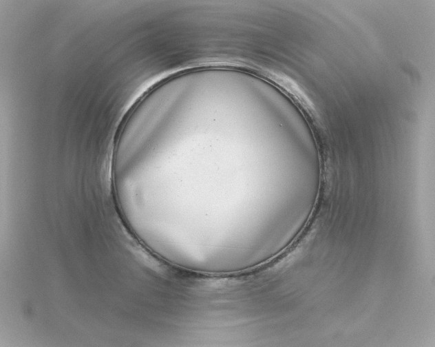 X0000115721228200911251910