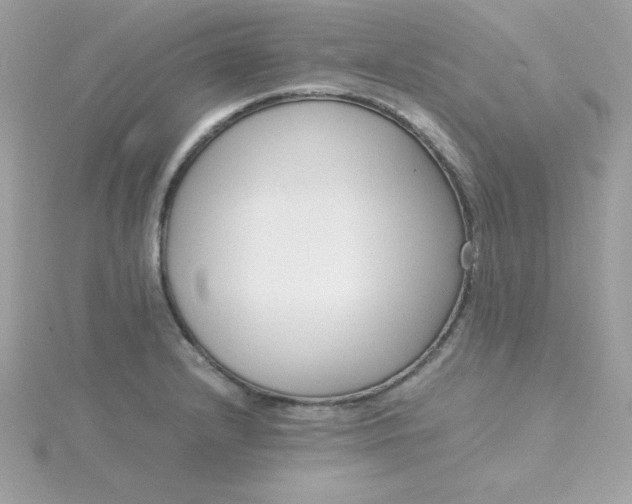 X0000115721232200911251910