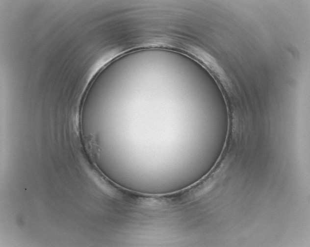 X0000115721234200911251910