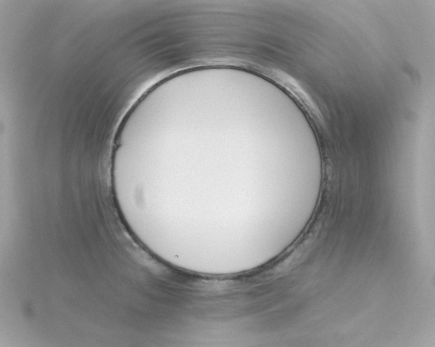 X0000115721236200911251910
