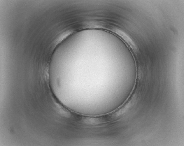 X0000115721241200911251910