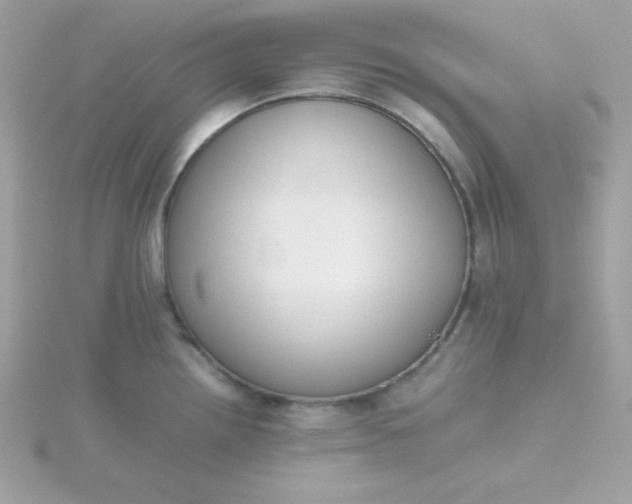 X0000115721242200911251910