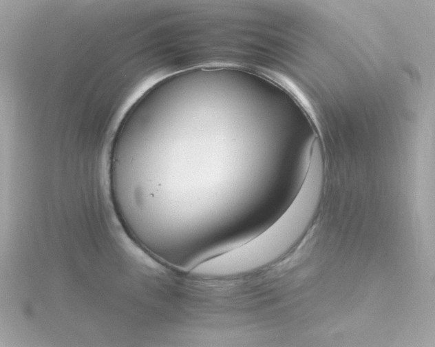 X0000115721243200911251910