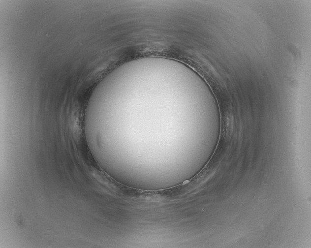X0000115721250200911251910