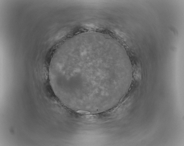 X0000115721253200911251910