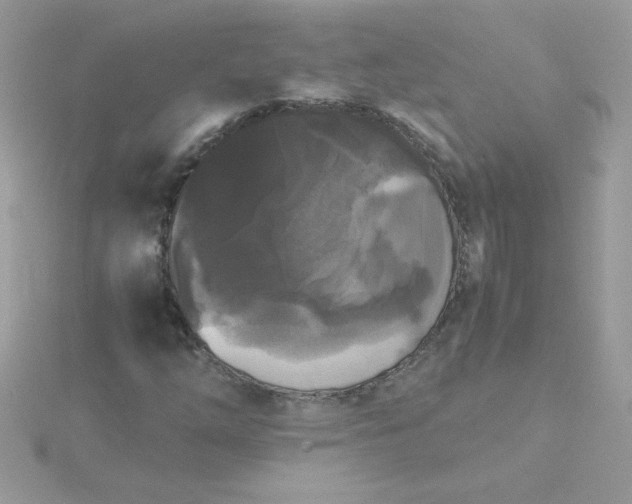 X0000115721254200911251910