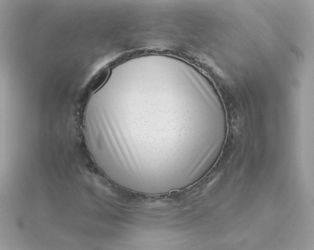 X0000115721256200911251909