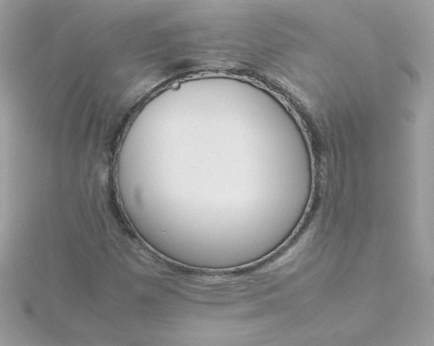 X0000115721257200911251909