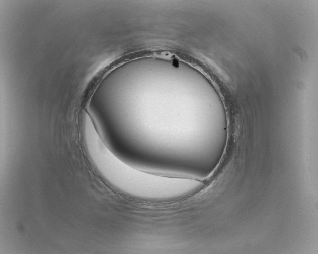 X0000115721261200911251909