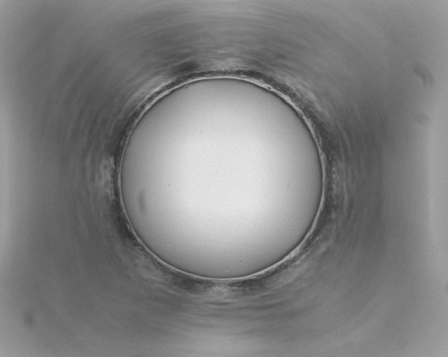 X0000115721265200911251909