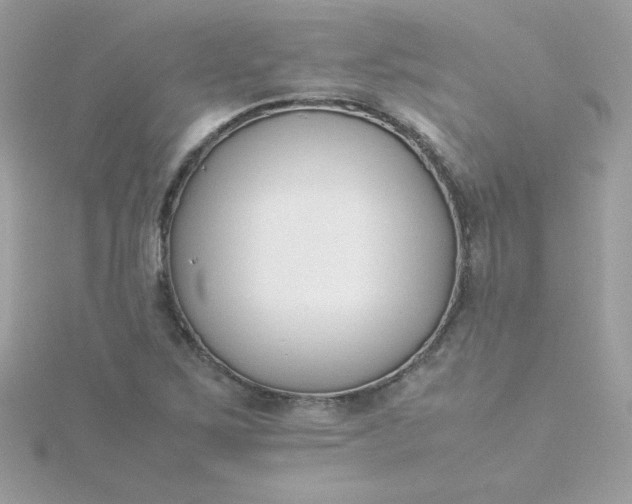 X0000115721267200911251909
