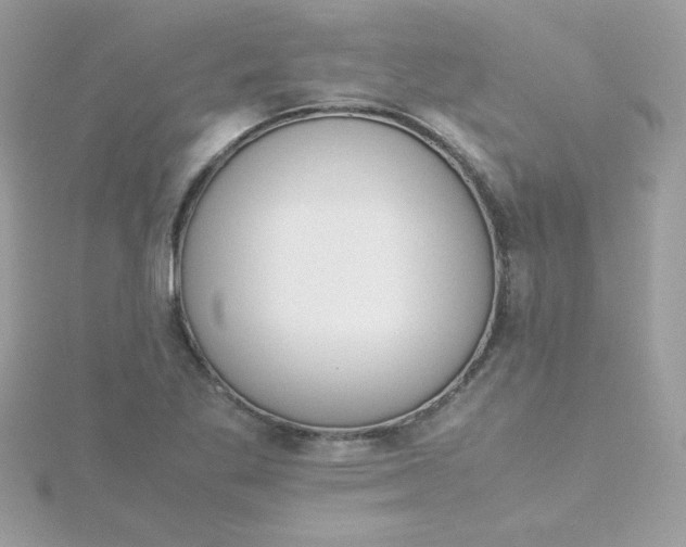 X0000115721269200911251909
