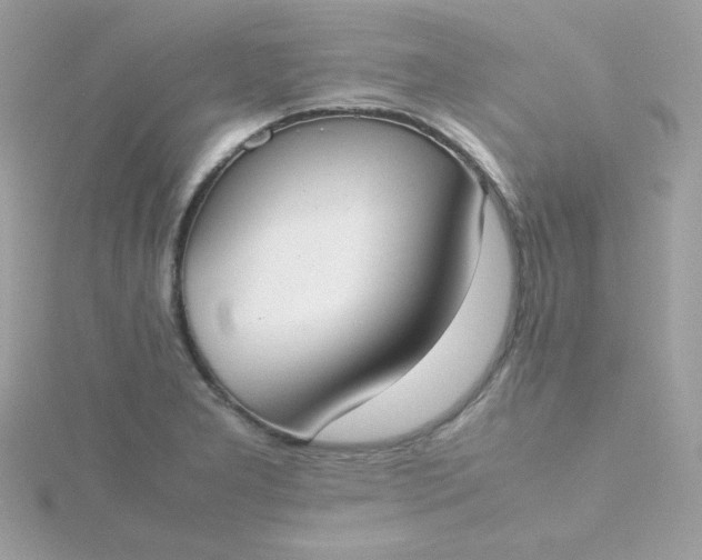X0000115721277200911251909