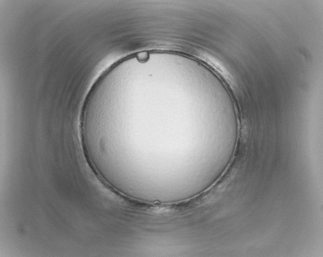 X0000115721283200911251909
