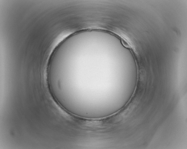 X0000115721285200911251909