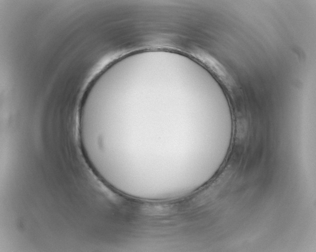 X0000115721286200911251909