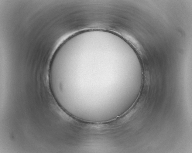 X0000115721288200911251909