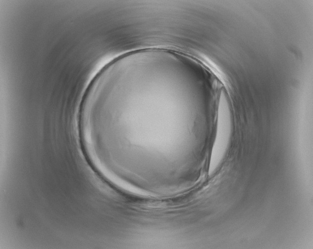 X0000115721291200911251909