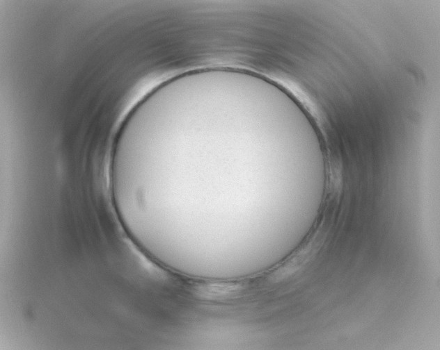 X0000115721294200911251909