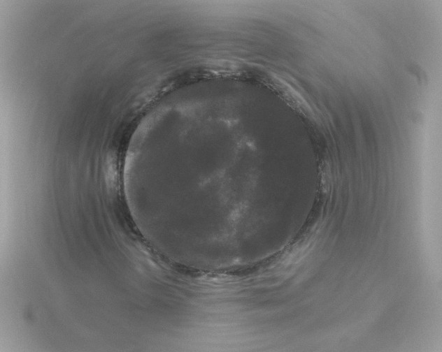 X0000115721298200911251908
