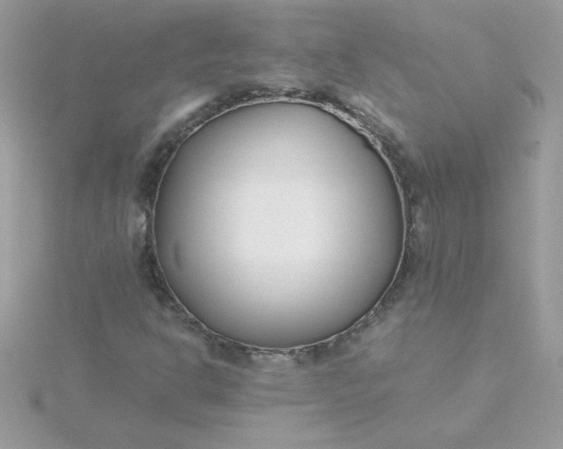 X0000115721302200911251908
