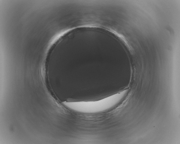 X0000115721319200911251909