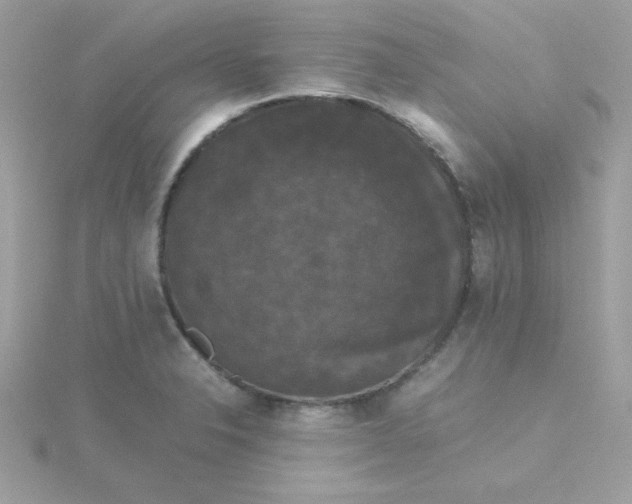 X0000115721326200911251909