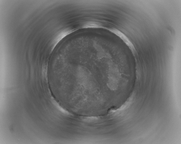 X0000115721337200911251909