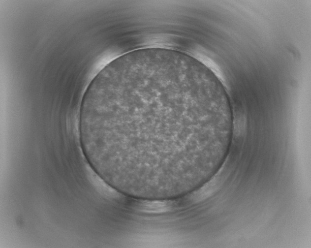X0000115721338200911251909