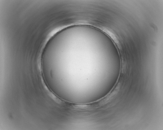 X0000115721342200911251909