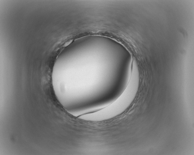 X0000115721349200911251908